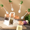 Hũ đựng gia vị xương rồng sét 4 lọ kèm khay - Tiết kiệm, tiện lợi, chỉ 115k 4