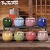 Hũ đựng trà gốm sứ men rạn cao cấp, phụ kiện trà đạo, trang trí nhà, giá 49.999đ 2
