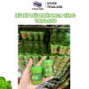 Hũ hít mũi Thái Lan thiên nga vàng và bạc hà - Giảm nhức đầu, say xe, nghẹt mũi - Hiệu quả nhanh 6