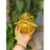 Hũ Kẹo Kim Tiền Vàng và Hũ Kẹo Sứ Đựng Kẹo Tết 2.026 Giá Ưu Đãi 119.000 VNĐ 6