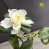 Kệ Gỗ Bình Bán Nguyệt Chú Tiểu và Hoa Đỗ Quyên, Chữ Thư Pháp - Trang Trí Góc Làm Việc và Phòng Khách, Tặng Phụ Kiện 4