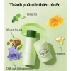 Kem Chống Muỗi Đốt Chiết Xuất Tự Nhiên - Xua Đuổi Côn Trùng, Giảm Ngứa, Xoa Dịu 139k DUY MART 3
