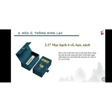 Kem DDS Emu 500g - Hũ lớn, chuẩn chải thông kinh lạc, thải độc não bộ, giảm còn 250k 2