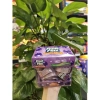 Kẹo mềm Fruit Plus hộp mika 100g - Giá ưu đãi 37.050₫, đa vị ngon 4