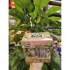 Kẹo mềm Fruit Plus hộp mika 100g - Giá ưu đãi 37.050₫, đa vị ngon 5