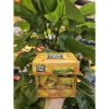 Kẹo mềm Fruit Plus hộp mika 100g - Giá ưu đãi 37.050₫, đa vị ngon 9