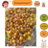 Kẹo mini vỏ giòn nhân sữa chua mix vị trái cây 500g - Đồ ăn vặt siêu ngon cho bé 2