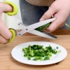 Kéo nhà bếp 5 lưỡi đa năng cắt rau củ quả, lưỡi thép không gỉ, thiết kế chắc chắn - Giá 124.000 VND 3