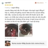 Kẹo sô cô la tươi phủ ca cao 408g – Giá chỉ 77.000đ, giảm ngay 18% 7