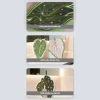 Khăn Lau Tay Siêu Thấm Hút Nhanh Khô, Họa Tiết Lá Mềm Mại Tree Home KL03 - 53.000₫ 6