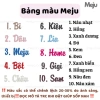 Khăn quàng không hộp Meju - Choàng cổ thời trang, quà tặng Valentine, sinh nhật, người yêu - Giá 132.858₫ 5