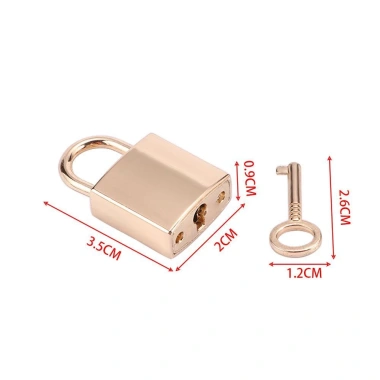 Khóa Mini Nhật Ký Sách Hành Lý Người Yêu Đôi - Đồng, Chìa Khóa Nhỏ Giá 44.000đ