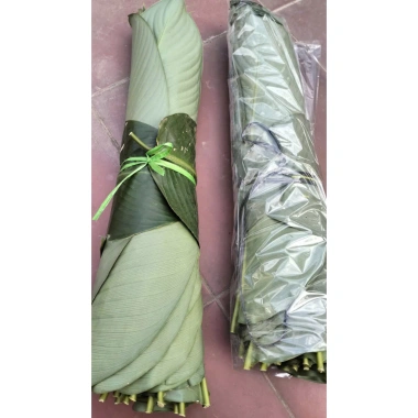 Lá Dong tươi gói bánh chưng, tét, giò, xôi kèm lạt Giang 100-200-300 lá chỉ 80.000₫ 6
