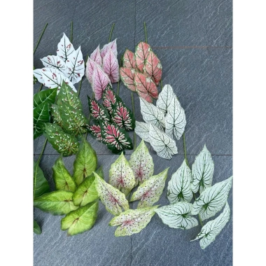 Lá Môn Giả 5 Lá - Trang Trí Nhà Cửa và Decor Quán Cafe, Giá chỉ 34.000đ 4