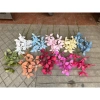 Lá trạng nguyên, lá giả, hoa giả trang trí nội thất - Giá 35.000₫, giảm từ 44.450₫ 3