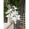 Lá trạng nguyên, lá giả, hoa giả trang trí nội thất - Giá 35.000₫, giảm từ 44.450₫ 4