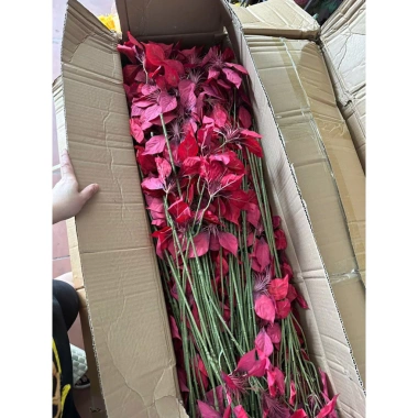 Lá trạng nguyên, lá giả, hoa giả trang trí nội thất - Giá 35.000₫, giảm từ 44.450₫ 5
