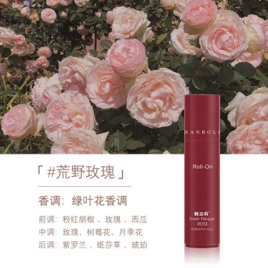 Lăn Khử Mùi Hôi Nách Hương Nước Hoa 20ml - Giữ Khô, Trắng Sáng, Giá 16.560 VND