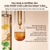 Lăn Khử Mùi PINKTWO Unisex 50ml - Hương Thơm Suốt Ngày, Không Vàng Ố Áo, Giá 55k 6