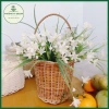 Làn mây picnic Phương Vy Decor giỏ xách đồ chơi bé quả trang trí chụp ảnh 50.000đ 7