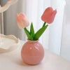 Lọ hoa decor nội thất phòng khách, phòng ngủ - Giá chỉ 65.000, thiết kế sang trọng, dễ trang trí 5