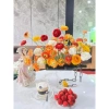 Lọ Hoa Thủy Tinh Decor Bình Hoa Hình Chai + Dây Xích Độc Đáo - Giá chỉ 149.000đ 7