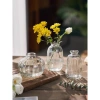Lọ Hoa Thủy Tinh Mini Vintage Giá Rẻ - Trang Trí Xinh, Cắm Hoa Một Bông 29.150đ 8
