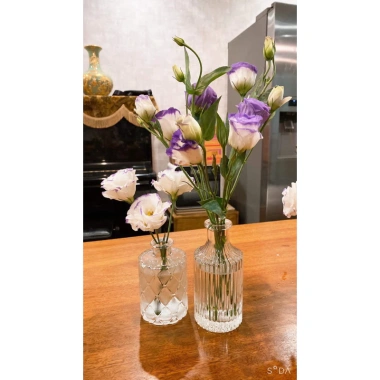 Lọ Hoa Thủy Tinh Mini Vintage Giá Rẻ - Trang Trí Xinh, Cắm Hoa Một Bông 29.150đ