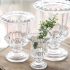 Lọ ly thủy tinh cao cấp đựng Phật Thủ, cắm hoa nghệ thuật tiệc cưới 90k 3