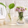 Lọ thủy tinh eo nhỏ miệng loe, đựng củ tiên ông, hành tây – Giá chỉ 15.000đ 4