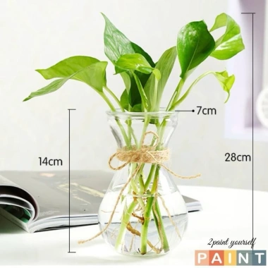 Lọ thủy tinh eo nhỏ miệng loe, đựng củ tiên ông, hành tây – Giá chỉ 15.000đ 7