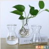 Lọ thủy tinh eo nhỏ miệng loe, đựng củ tiên ông, hành tây – Giá chỉ 15.000đ 8
