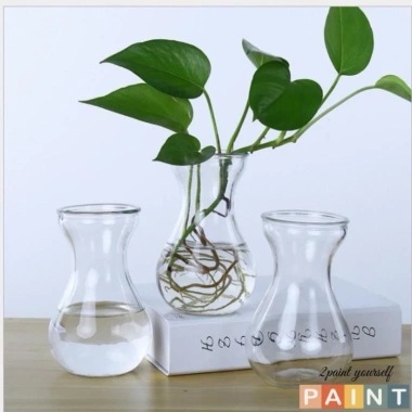 Lọ thủy tinh eo nhỏ miệng loe, đựng củ tiên ông, hành tây – Giá chỉ 15.000đ 8