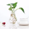 Lọ thủy tinh eo nhỏ miệng loe, đựng củ tiên ông, hành tây – Giá chỉ 15.000đ 10