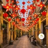 Lồng Đèn Trang Trí Tết 2.026 Năm Bính Ngọ – Decor Sân Vườn, Nhà Cửa, Cổng Giá 24.000₫ 8