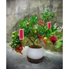 Lồng Treo Cây Decor Tết Set 3/5/10 - Trang trí nhà cửa ngày lễ Tết, Trung Thu, Giáng Sinh, Giá 24.000đ (giảm từ 30.720đ) 3