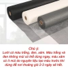 Lưới Chống Muỗi Cửa Sổ WINDOWBLINDS Dán Tự Dính – Sợi Thủy Tinh Bền Đẹp, Ngăn Muỗi Hiệu Quả, Dễ Lắp 2