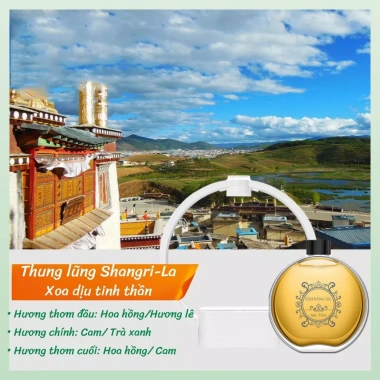 Máy Xịt Thơm Phòng Tự Động BC04 – Đèn Ngủ, Khử Mùi, Tạo Ẩm, Phân Phối Nước Hoa 2