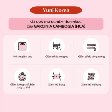 Men Vi Sinh Giảm Cân Lacto Fit Hàn Quốc 60 Gói - Giảm Mỡ Vùng Eo, Đẹp Da, Giữ Dáng, Giá 560.000 VND