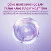 Miếng Dán Trắng Răng Than Tre SMILEKIT Charcoal Mint - Làm Trắng Nhanh, An Toàn Tại Nhà, Hộp 7 Túi 14 Miếng, 30.000 VND 5