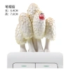 Miếng Dán Tường 3D Nhựa Đa Chiều - Trang Trí Phòng Khách, Phòng Ngủ, Bảo Vệ Ổ Cắm - 109.739 VND 7
