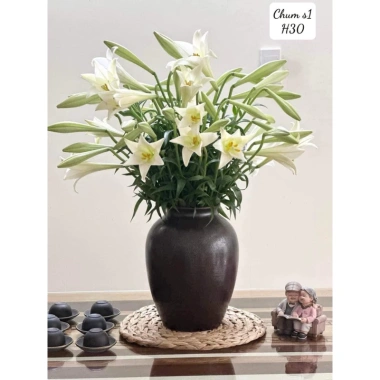 Miếng lót Lục bình đa năng Vintage - Trang trí tường hoài cổ mộc mạc, Decor Thảo Nguyên - Giá chỉ 12.600₫ 7
