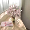 Mô Hình Cây Đào Hồng Phai Mini Đất Sét - Trang Trí Nhà, Búp Bê và Tiểu Cảnh Tết, Giá Ưu Đãi 230.000₫ 2