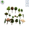 Mô hình cây mini tổng hợp phụ kiện tiểu cảnh sen đá, terarium, tablo ô tô, dollhouse - Giá chỉ 2.750 VND