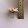 Mô hình cây mini tổng hợp phụ kiện tiểu cảnh sen đá, terarium, tablo ô tô, dollhouse - Giá chỉ 2.750 VND 2
