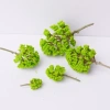Mô hình cây xanh lá nhạt tán tròn - Trang trí terrarium, tiểu cảnh, sa bàn 5.000đ 4