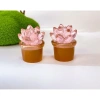 Mô hình chậu cây mini phát sáng DIY - Trang trí tiểu cảnh, đồ chơi trẻ em, giá 8.000₫ 9