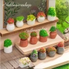 Mô hình chậu cây nhỏ tiểu cảnh sân vườn decor nhà Stellariva giảm giá 6.662 VND 4