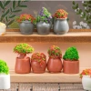 Mô hình chậu cây nhỏ tiểu cảnh sân vườn decor nhà Stellariva giảm giá 6.662 VND 5