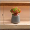 Mô hình chậu cây nhỏ tiểu cảnh sân vườn decor nhà Stellariva giảm giá 6.662 VND 7